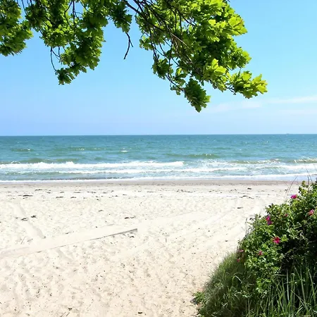 Rex Rugia Fewo12-3 Mit Schwimmbad Und Saunanutzung Im Ahoi-erlebnisbad Sellin Апартаменты Лоббе